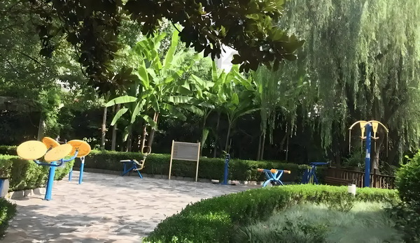王欣瑜拒绝和裁判握手引发淡人人设塌房热议，网友破案：被逼急了